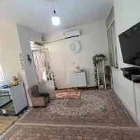 خانم جهت نظافت منزل و آشپزی