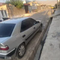 زانتیا زیر خاکی