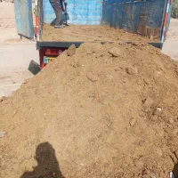 کود گوسفندی