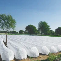 کاورضدسرماکشاورزی