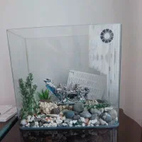 آکواریوم شیشه خم شرکتی با وسایل|ماهی|همدان, |دیوار