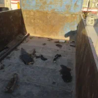 اتاق ایسوزو ۳تن