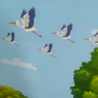 مربی مهدکودک وپیش دبستانی