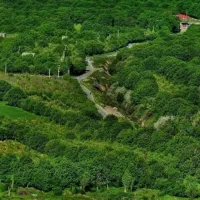 فروش چندباغ از ۵۰۰متر تا۷۰۰۰متر بر اصلی دهبوره راه|فروش دفتر صنعتی، کشاورزی، تجاری|نهاوند, |دیوار