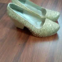 کفش مجلسی