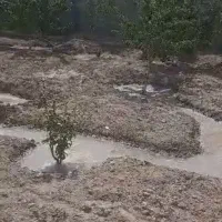 باغچه شهریار|فروش زمین و ملک کلنگی|رباطکریم, انجم آباد|دیوار