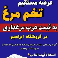 فروش تخم مرغ به فیمت درب مرغداری