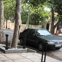 ۴۰۵ اسپرت سر حال