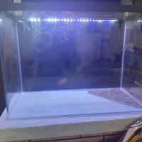 اکواریوم شرکتی شیشه خم