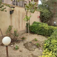 انجام انواع خدمات باغبانی و فضای سبز|خدمات باغبانی و درختکاری|کرج, جهان‌شهر|دیوار