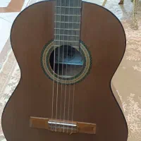 گیتار dalaho به همراه کاور