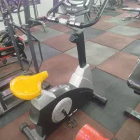 دوچرخه ثابت دیحیتال گتوند