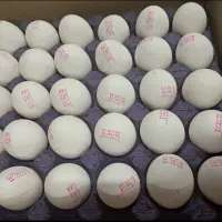 پخش عمده تخم مرغ مقدسی|عمده‌فروشی|تهران, دروس|دیوار