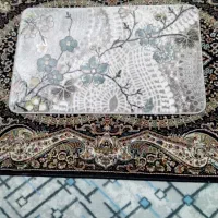 پادری|پادری|تهران, زاهد گیلانی|دیوار