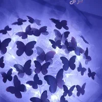 دسته گل پروانه ای درخشان هدیه روز مرد