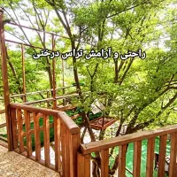 سازهای سنتی با امکانات مدرن برای اجاره روزانه|اجارهٔ کوتاه‌مدت آپارتمان و سوئیت|بره‌سر, |دیوار