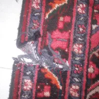 فرش دستبافت|فرش|قزوین, |دیوار