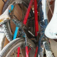 دو عدد دوچرخه درحدد|دوچرخه، اسکیت، اسکوتر|خان ببین, |دیوار