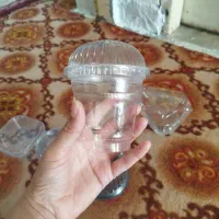 ظرف یکبار مصرف