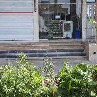 واگذاری مغازه عطاری فعال.باتمامی اجناس|اجارهٔ مغازه و غرفه|شیراز, پودنک|دیوار