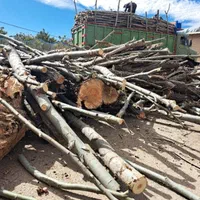 خرید چوب|خدمات باغبانی و درختکاری|خرمآباد, |دیوار