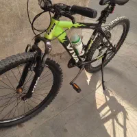 دوچرخه ویوا تایوان درحد