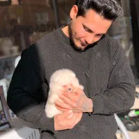 سسگگ ممینیاتوریی پاامی