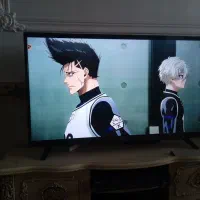 تلویزیون 49اینچ LEDوستل