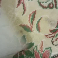 سکه های عتیقه|کلکسیون سکه، تمبر، اسکناس|رشت, شهرک قدس|دیوار