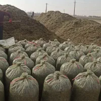 فروش ذرت و تفاله چغندر