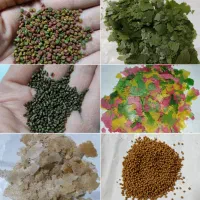 انواع غذا ماهی بیومار زیر آبی و لوفک رو آب رنگدانه