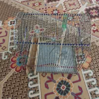 قفس سهره|لوازم جانبی حیوانات|تهران, قیام|دیوار