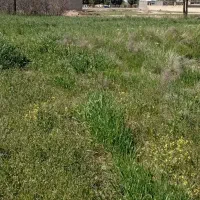 زمین-ملکی-300متر-استثنایی-اول-جاده-فیلخانه