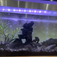 آکواریوم با تمام وسایل ۷۰۰۰۰۰۰