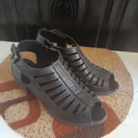 نونو|حراج|بروجرد, |دیوار