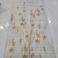 پرده