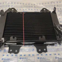 رادیات ns200 اصلی