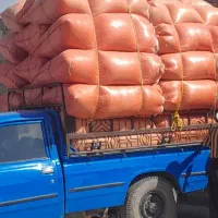 کاه درجه ۱|لوازم جانبی حیوانات|لالی, |دیوار