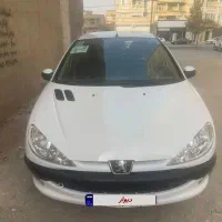 ۲۰۶ اس دی تمیز و در حد