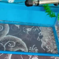 اکواریوم با لوازم|ماهی|بروجرد, |دیوار