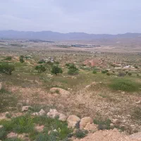 باغ شهری