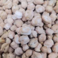 نخود آبگوشتی امسال دیم دشت