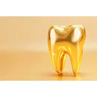 پرسلن گزار تازه کار هستم(پودرگزار)