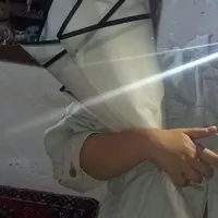 کل زر روبانی-|گل مصنوعی|شیراز, گلکوب|دیوار