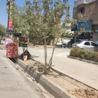 برق ، دینام ، استارت ،کولر ، تنظیم موتور