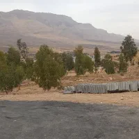 زمین-5000-متر-ملکی-زیبا-شهر