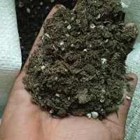 خاک برگ گلدان