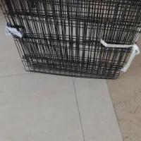 فس سگ وکربه