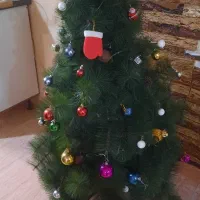 درخت کریسمس
