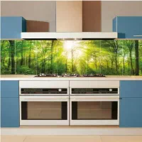 شیشه بین کابینتی طرح دار